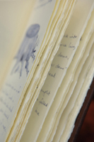 Beedle essay contest 08 picture