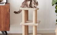 Cat Trees