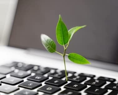 Purchases with an impact | Renewed