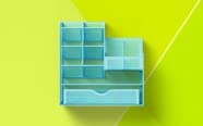 Organization