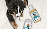 Pet health