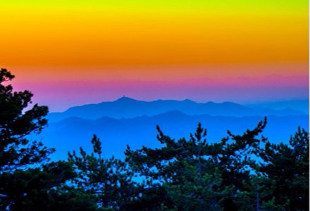 Handmade Artwork: handcrafted paintings, prints, and photographs.