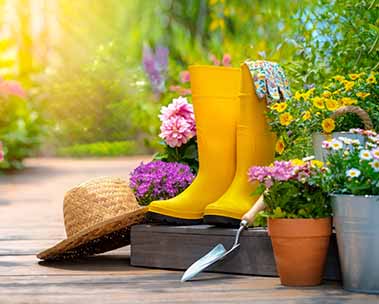 Give your garden a spring makeover