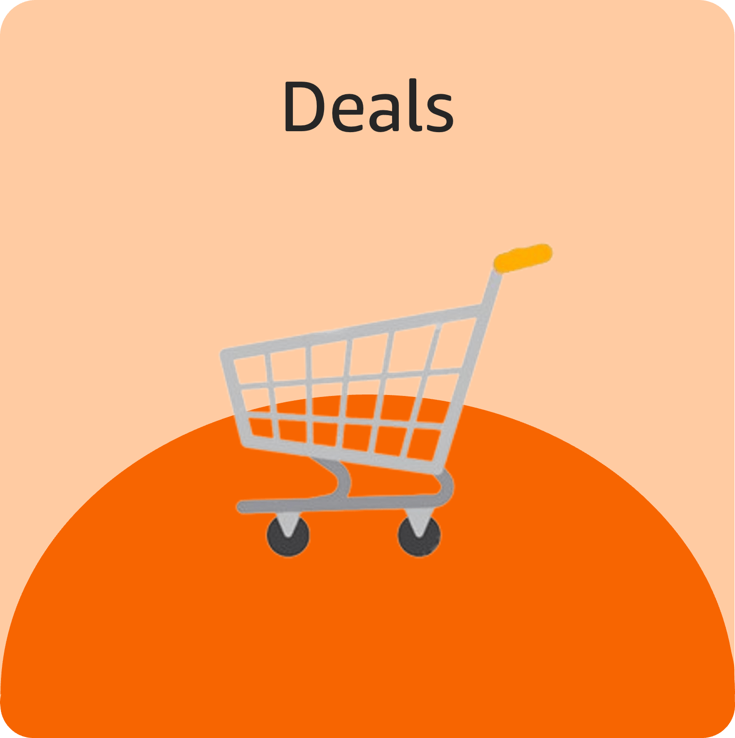 Amazon Deals