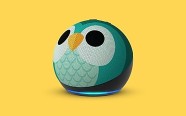 Echo Dot Kids