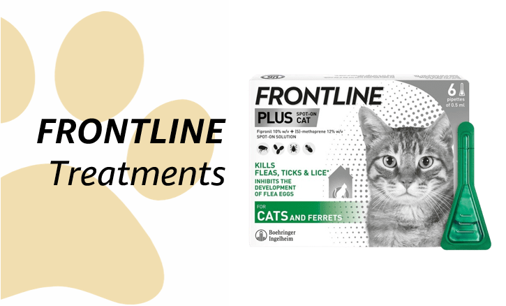 Frontline