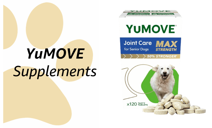 YuMove