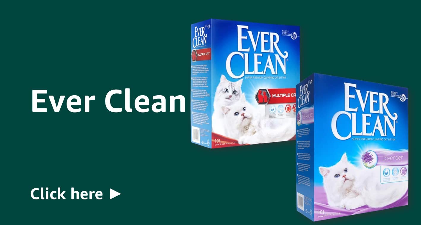 Ever Clean