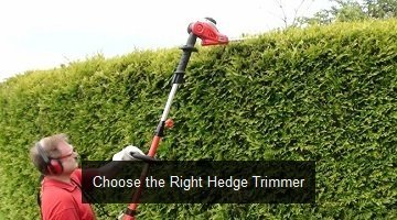 Hedge Trimmers Buying Guide