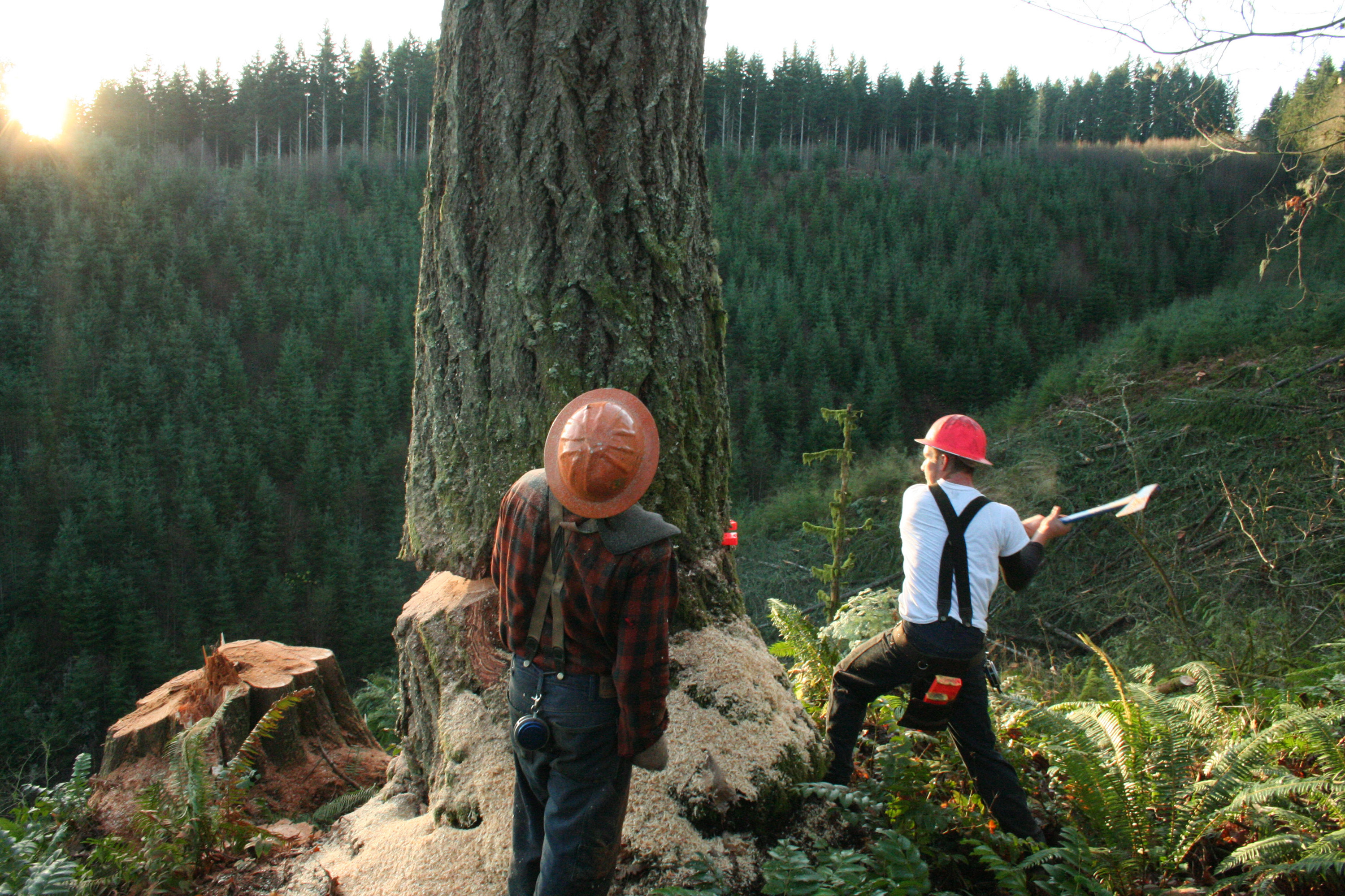 Ax Men: The Complete Season 1 [DVD]: Amazon.co.uk: DVD & Blu-ray