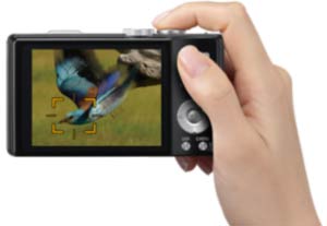 The incredibly fast focus speed is due to the double speed readout from the sensor when the shutter button is half pressed