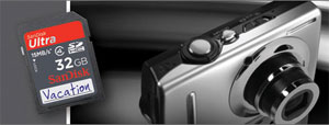 SanDisk Ultra SD Card