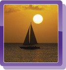 Dynamic Range Optimizer