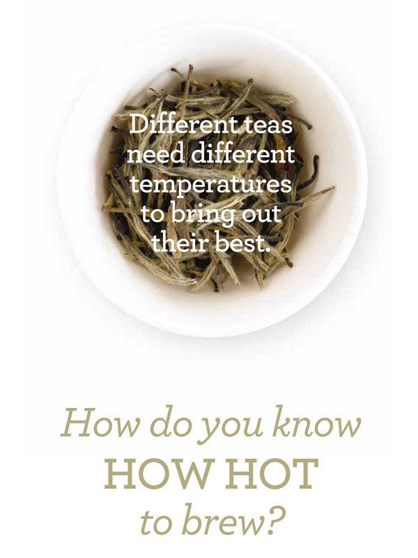 Sage BKE820UK the Smart Kettle with Multi Temperature Silver Amazon.co.uk Kitchen & Home