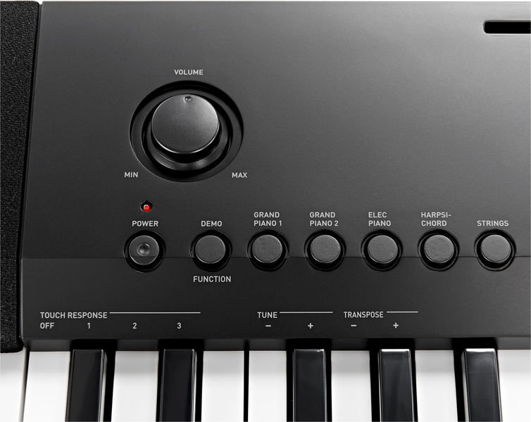 Casio CDP-120 Scaled Hammer Action Contemporary Digital Piano: Amazon ...