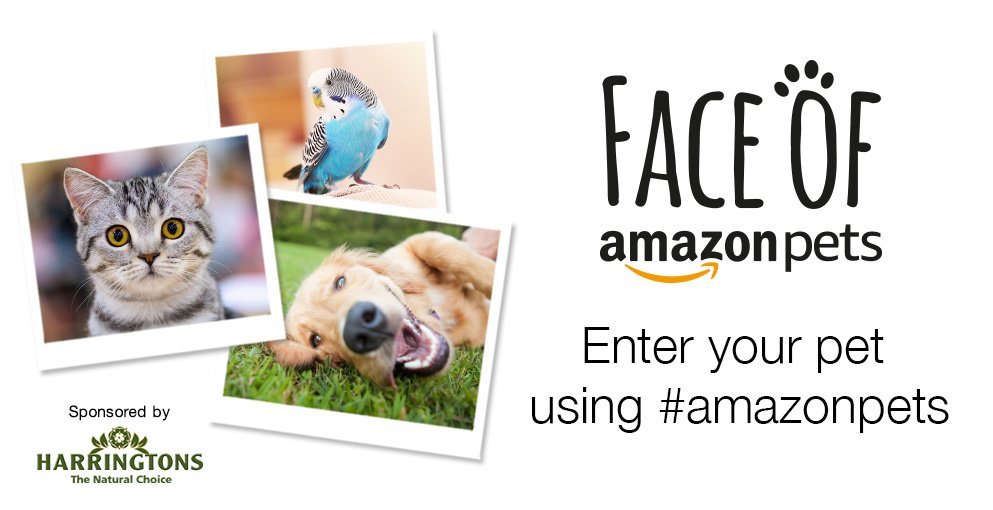 Amazon.co.uk Pet Supplies food, health supplies and accessories for