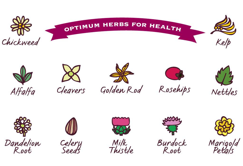 Lily's kitchen Crunchy Nibbles for Cats with Chicken 400g Amazon.co