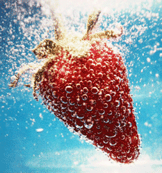 Wide Range of Flavours