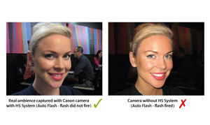 Insert Alt Text here