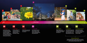 Insert Alt Text here