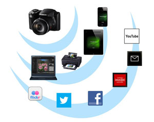 Insert Alt Text here