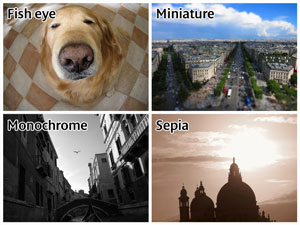 Insert Alt Text here