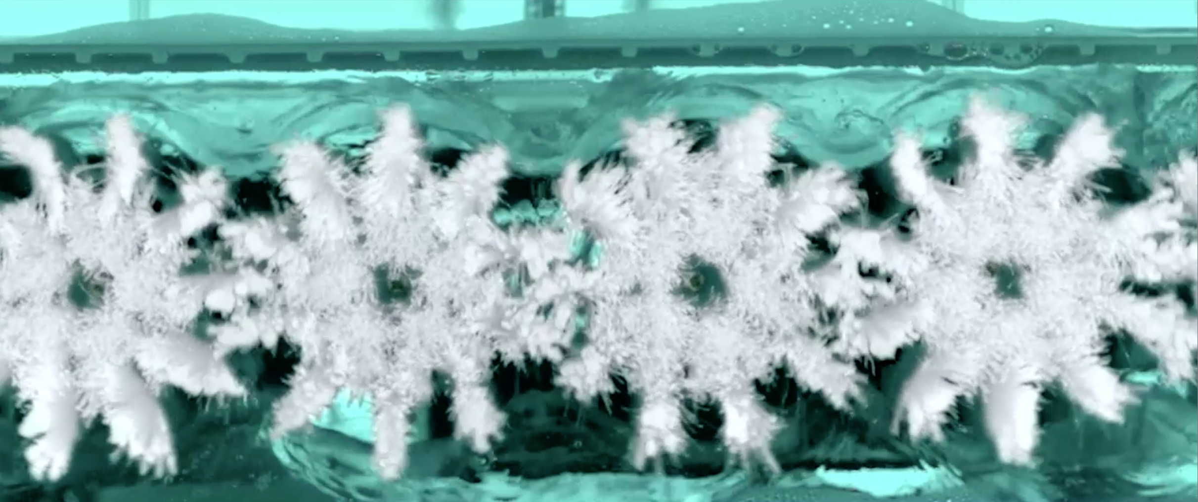 Vax HF86FMT Floormate Trio Hard Floor Washer, 1.1L/1.6L, White and