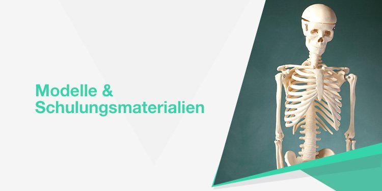 Modelle & Schulungsmaterialien