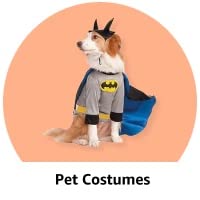 Pet costumes