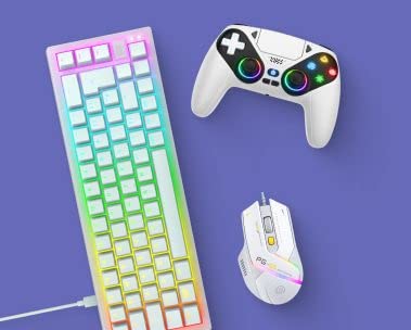 Tauche in die Welt des Gamings ein