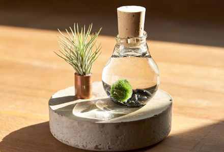 Wohnaccessoires &amp; Deko