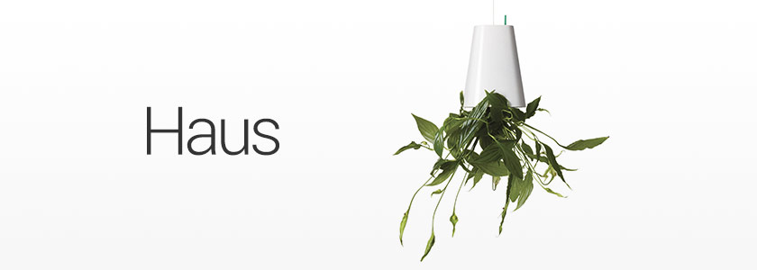Haus
