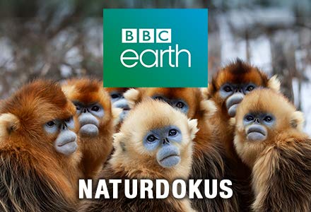 Sieben Kontinente - Ein Planet