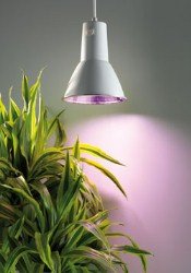 Bio Green LUM 151 Pflanzenlampe L 15