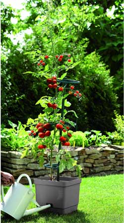 Bio Green MT 2A Maxitom Pflanzenturm, mit Rankhilfe und