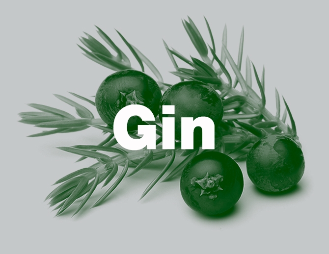 Gin