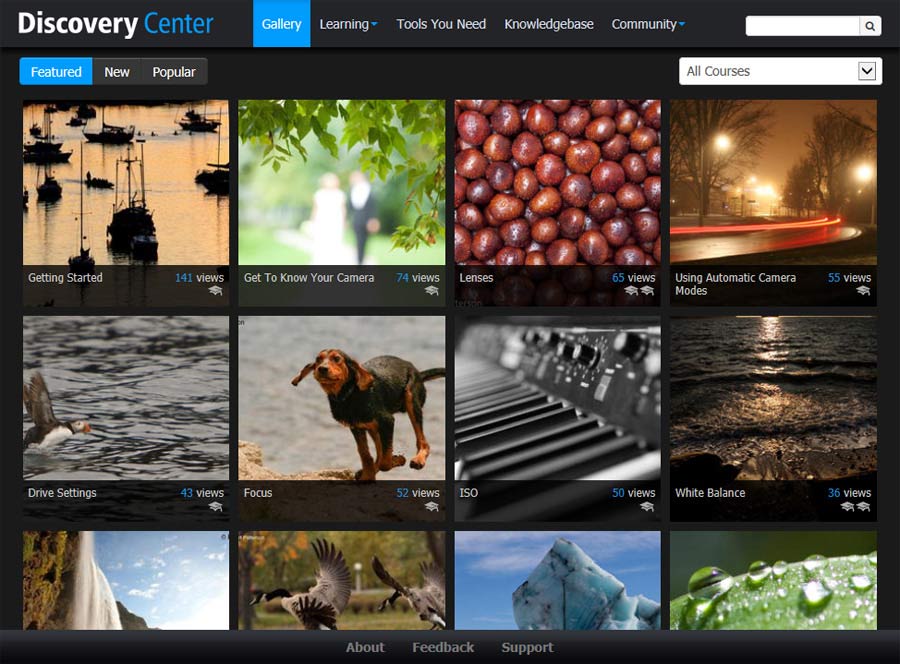 Corel Pro X6 Ultimate Amazon.de Software