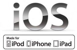 Vergessen Sie nicht Ihre ALT Tags