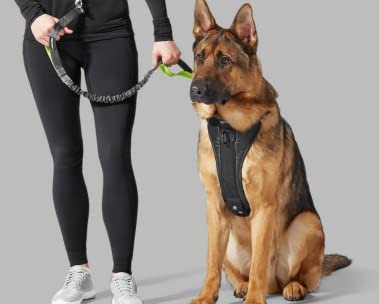 Animalerie : les plus vendus de nos marques