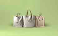 Sacs et paniers de courses
