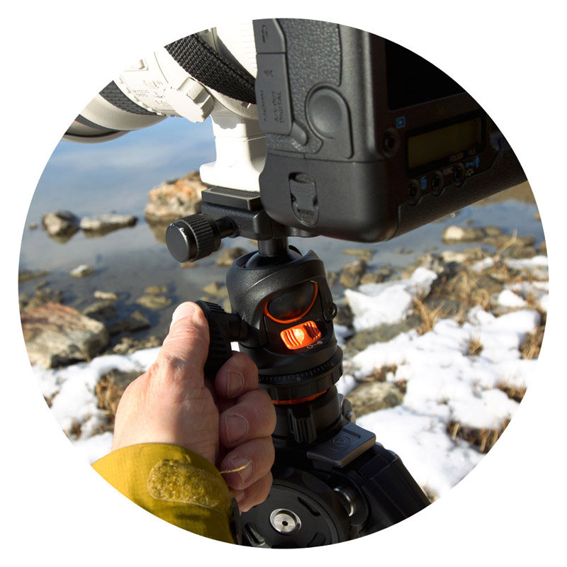 Vanguard BBH200 Rotule pour Appareil photo Noir Amazon.fr