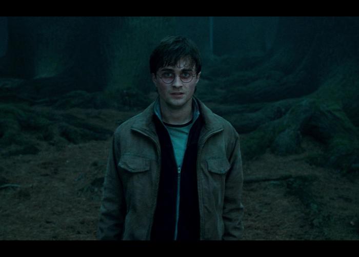 Harry Potter Et Les Reliques De La.mort Partie 1 Streaming Harry Potter et les Reliques de la Mort - 1ère partie - Edition simple