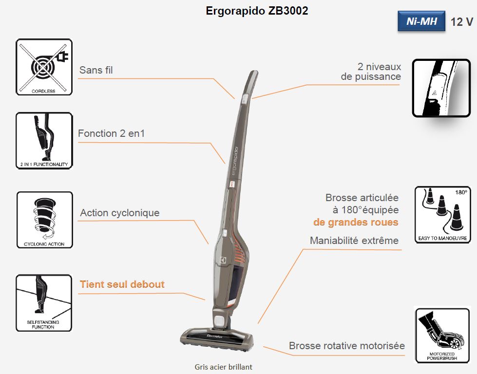 Electrolux ZB3002 Ergorapido Aspirateur Balai sans Sac Rechargeable
