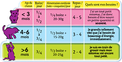 Whiskas Junior Boites Aux 4 Saveurs En Terrine Pour Jeune Chat Et Chaton 24 Boites De 400g Amazon Fr Animalerie