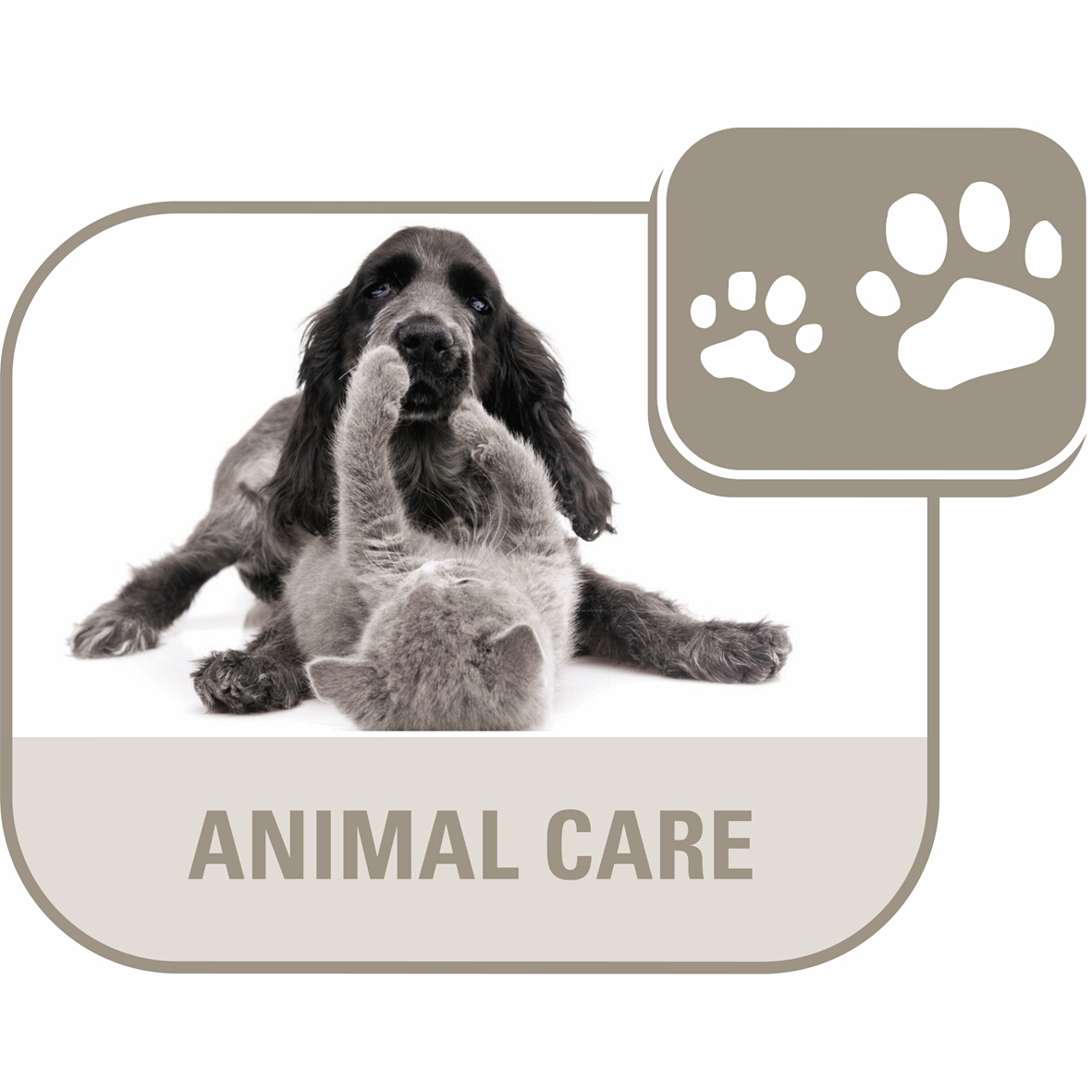 Rowenta RO5396 Aspirapolvere senza sacco Compacteo Ergo Cyclonic Amazon.it Casa e cucina