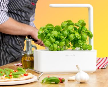 Amazon Launchpad: Crea la tua oasi privata