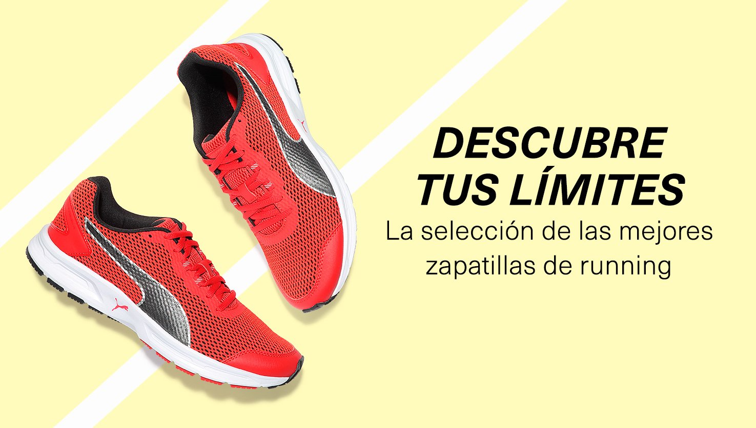 site chaussure de sport
