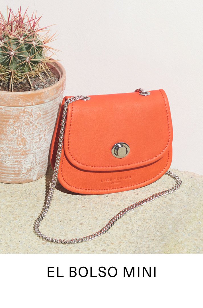 El bolso mini