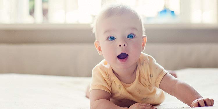 Los productos más añadidos