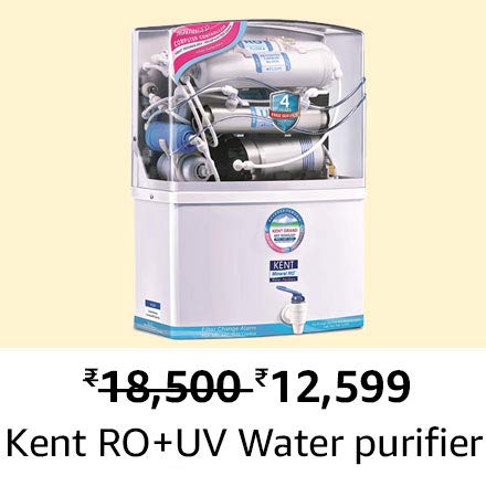 Flower Plants and Vases